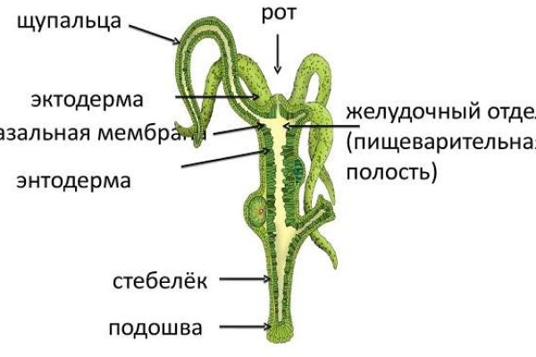 Кракен актуальная