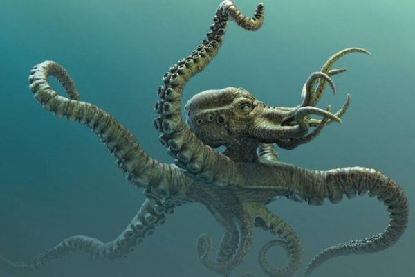 Кракен сайт kraken014 com