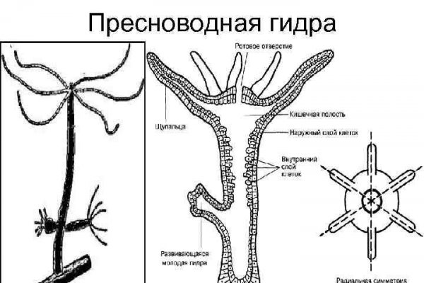 Kraken даркнет рынок